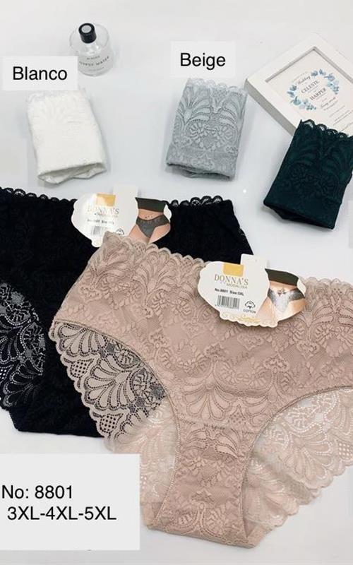 B8801 Braga de algodón tallas grandes con encaje.